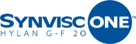 Synvisc One